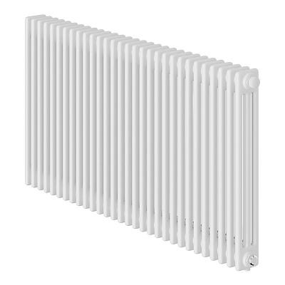Стальной трубчатый радиатор отопления Royal Thermo Insignia VC3050 - 30 секции (белый)