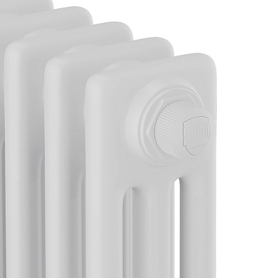Стальной трубчатый радиатор отопления Royal Thermo Insignia VC3050 - 10 секции (белый)